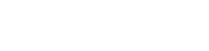STEAM